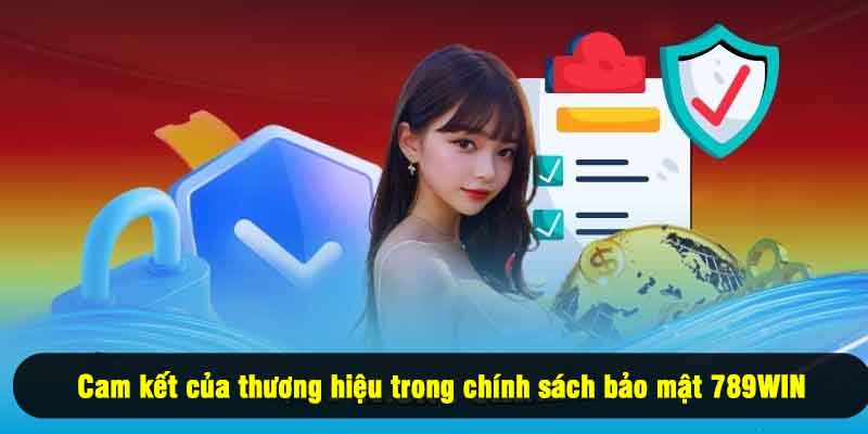 Cam kết của thương hiệu trong chính sách bảo mật 789WIN