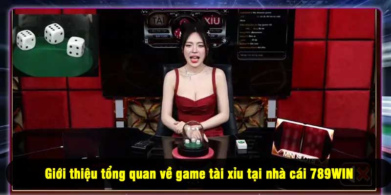 Giới thiệu tổng quan về game tài xỉu tại nhà cái 789WIN