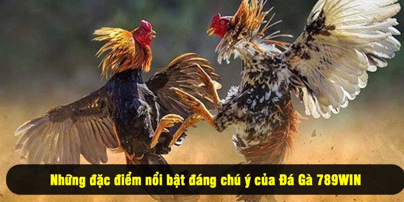 Những đặc điểm nổi bật đáng chú ý của Đá Gà 789WIN